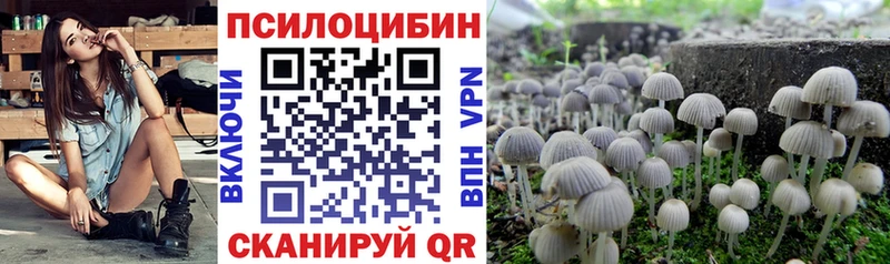 Галлюциногенные грибы Magic Shrooms Хвалынск